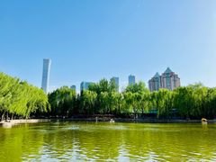 -团结湖公园