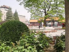-莲花池公园
