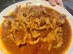火辣鸡爪-红辣椒八爪鱼特色韩国料理