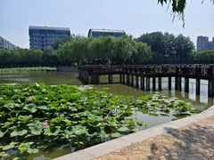 -中国农业博物馆