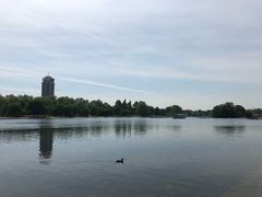 -海德公园