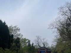 -武侯墓风景区