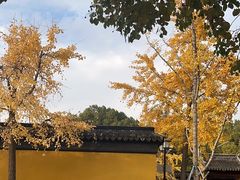 -西园戒幢律寺