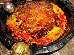 红汤锅底-渝大狮毛肚老火锅(遂宁万达店)
