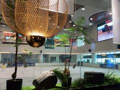 -吉庆莲年有鱼炭烤鱼(苏宁广场店)