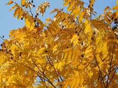 -昆山城市生态森林公园