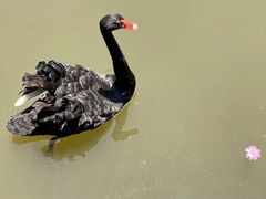 -长兴太湖图影湿地文化园