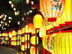 -武汉园博园(武汉自然博物馆)