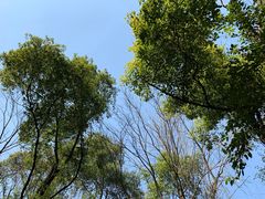 -蜀冈西峰生态公园