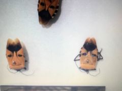 -上海昆虫博物馆