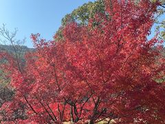 -孙武文化园-停车场