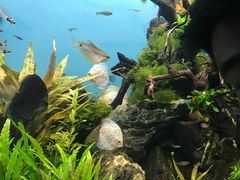 -多彩贵州城极地海洋世界