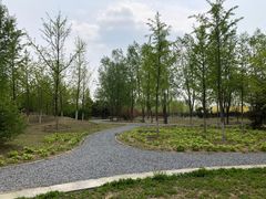-东郊湿地公园