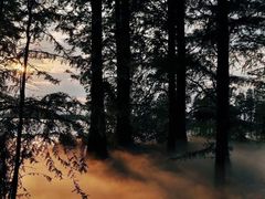 -东湖落雁景区