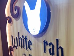 -白兔子密室(长寿路店)