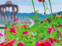 -中华三祖圣地黄帝城遗址文化旅游区