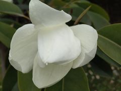 -太湖湖滨国家湿地公园-停车场