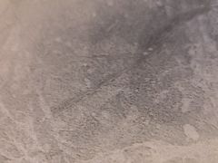 -大秦小宴•新派西北(万象前海店)