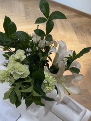 -HEYAN荷妍专业脱毛连锁机构