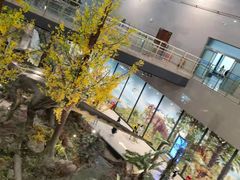 -湖南省地质博物馆