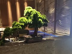 -浅深(北京北四环精品店)