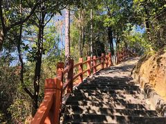 -广州白江湖森林公园