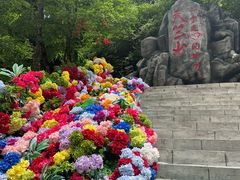 -秦岭天竺山生态文化旅游景区
