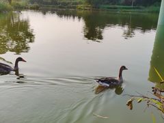 -西安浐灞国家湿地公园