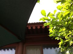 IMG_9667-陶野咖啡·面包披萨
