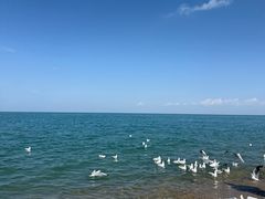 -青海湖国家重点风景名胜区