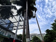 -南方毅源大酒店(广州番禺长隆南村万博地铁站店)