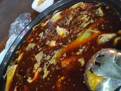 -金海椒罐罐鲢鱼(东方桂苑店)