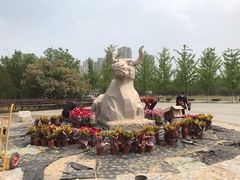 -永定河休闲森林公园