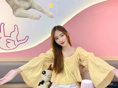 -喵园·猫主题咖啡厅·撸猫·猫咖(国贸店)