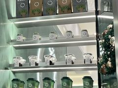 -宝藏绿洲(万象前海店)