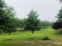 -滨湖塘西河公园