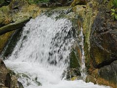 -南海湾森林生态园