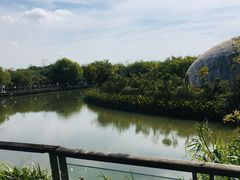 -吴淞炮台湾湿地森林公园烧烤区