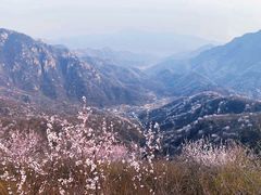 -大岭沟猕猴桃谷风景区