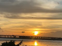 -宝安西湾红树林湿地公园