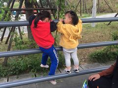 -飞凤山奥体公园