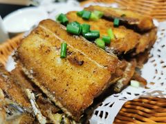 -洲晓鱻舟山海鲜(2号店)