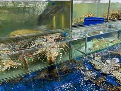-东江海鲜酒家(艺都分店)