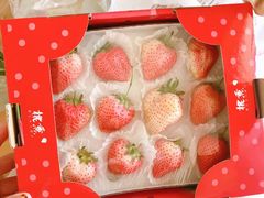 -七鲜超市(万向城店)