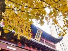 -上海白云观