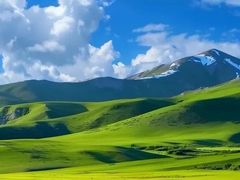 -塞罕坝国家级自然保护区