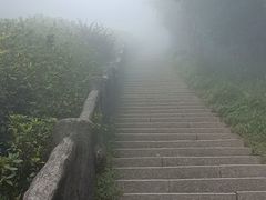 -梧桐山风景名胜区