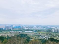 -树山生态村