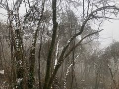 -九峰山