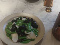 -同乐馆(阳光店)